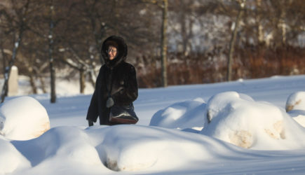 Погода в Москве в среду, 21 января: ждать ли резкое потепление и ливни