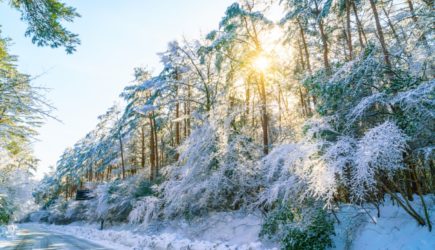 Впустите в дом неприятный запах: странный ритуал 24 января, который спасал наших предков от беды