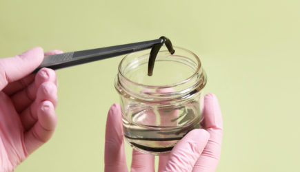 Женщина вернулась из путешествия с &laquo;кровососущим сувениром&raquo; в носу