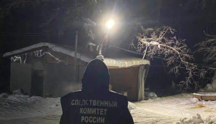 Мужчину застрелили на охотничьей базе в Саратовской области