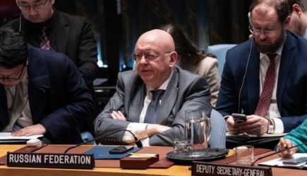 Замглавы МИД Украины поспорила с Небензей о его национальности &mdash; подробности события