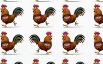 Загадка про петуха: справа налево