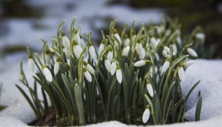 День пробуждения силы: почему 6 марта важно довести все дела до конца