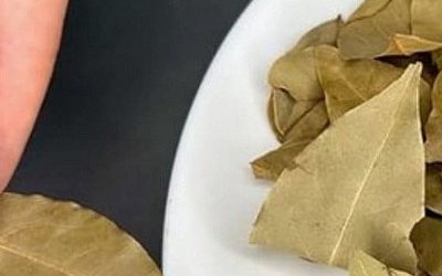 Зачем класть лавровый лист в карман: запомните раз и навсегда