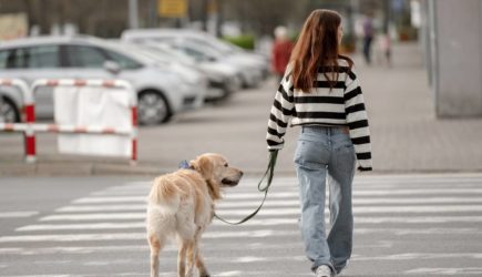 Раскрыты способы получать больше пользы от ходьбы
