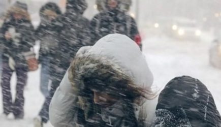 Аномальное похолодание в Приморье: как подготовиться к ранним заморозкам