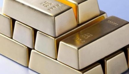 Ученые в Сибири нашли новый вид бактерий для эффективной добычи золота