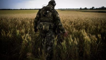 Российское «Поле-31» начало противодействие врагу в зоне СВО